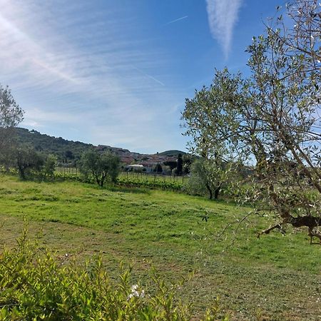 Vento E Mare Bed & Breakfast Riotorto Exterior photo